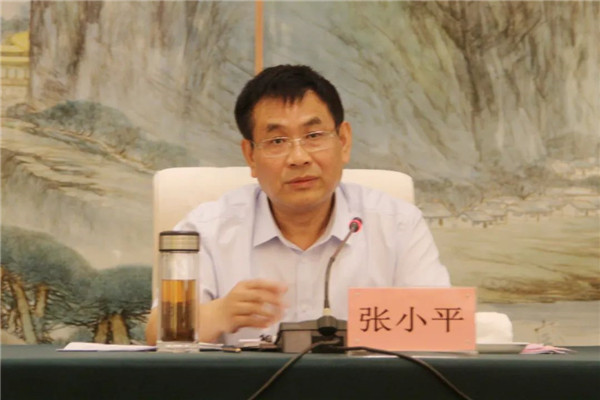 張小平赴景德鎮(zhèn)調(diào)研碳達(dá)峰碳中和工作