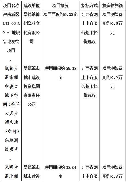 景德鎮(zhèn)市昌南新區(qū)LJ1-03-A01-1地塊、瓷都大道東側(cè)中渡口地下空間（格蘭云天大酒店地下空間）、光明大道北側(cè)利民路西側(cè)地下空間（青少年宮地下空間）、規(guī)劃二路北側(cè)地下空間地塊二（加速基地地下空間）、規(guī)劃二路北側(cè)地下空間地塊一（加速基地地下空間）、景德大道南側(cè)天寶橋西側(cè)地塊、景興大道東側(cè)如意路北側(cè)地下空間(社會公共服務(wù)